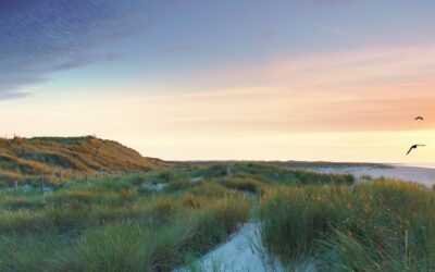 Sylt – Unser Rahmenprogramm!