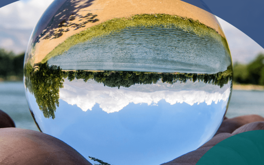 Das Wilde in uns für die Mediation nutzen